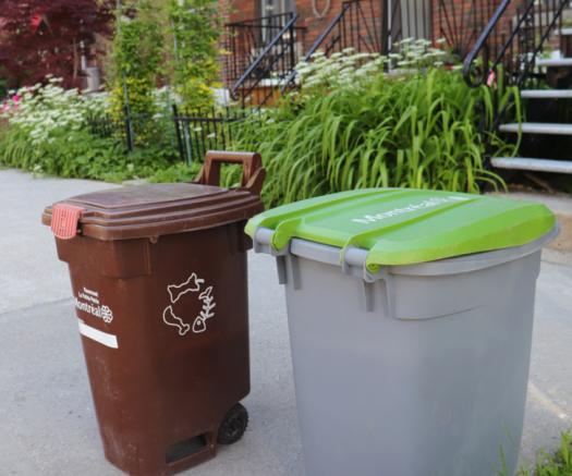 Recyclable vs. Compostable: What's the Real Difference?